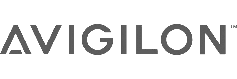 Avigilon Security Services